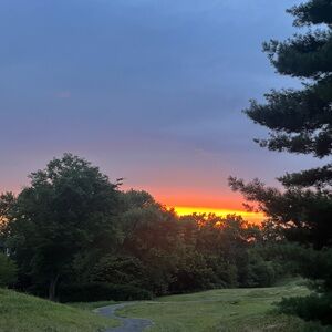 Meet your Posher, Cassie